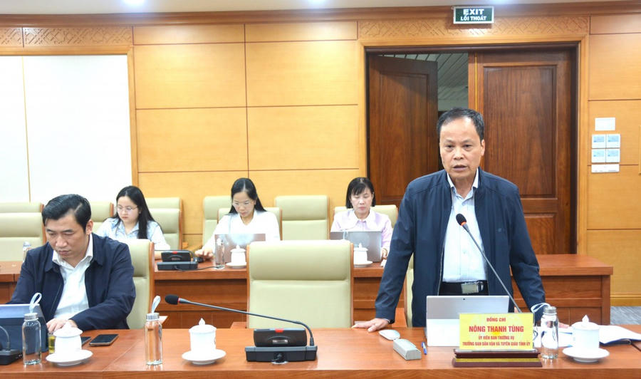 Trưởng Ban Tuyên giáo và Dân vận Tỉnh ủy Nông Thanh Tùng phát biểu thảo luận tại cuộc họp.