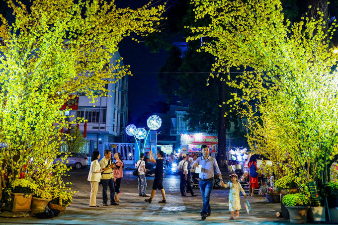 Về đêm, góc đường Phạm Ngọc Thạch trở nên rực rỡ với những cành hoa mai nhựa.Năm nay, bên cạnh việc tổ chức đường hoa, đường sách, chợ hoa xuân... để phục vụ người dân và du khách tham quan, TP HCM còn tổ chức bắn pháo hoa tại 7 điểm trong 15 phút, từ 0h đến 0h15 ngày 16/2 (đêm 30 tháng Chạp). Các địa phương cũng tổ chức chương trình văn nghệ gần điểm bắn để phục vụ người dân vui xuân.