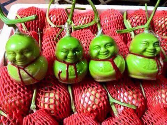 Hình thù kỳ lạ của dưa lê Thần Tài khiến người mua thích thú, dù biết rằng chúng có xuất xứ từ Trung Quốc.