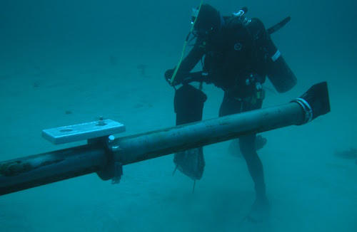 Ảnh minh họa. (nguồn vnexpress)