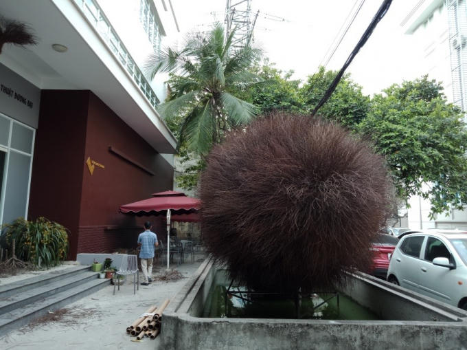 Hạt và Mầm - Hà Huy Mười