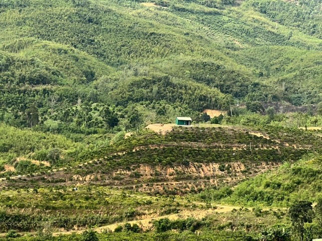 Hiện trạng khu đất cấp cho gia đình ông Sơn.