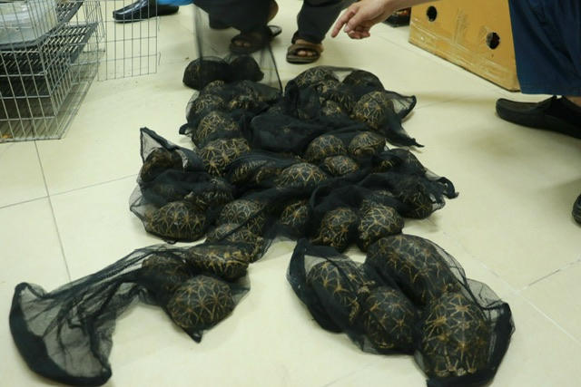 images1915335_IMG_5362.