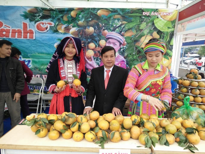 Đặc sản "Cam sành Hàm Yên" đến từ tỉnh miền núi Tuyên Quang.