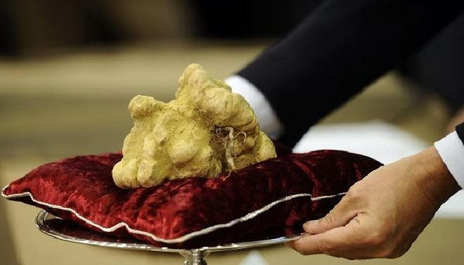 Hình ảnh nấm Truffle trắng