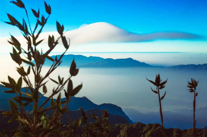 Đỉnh Pu Ta Leng hùng vĩ.