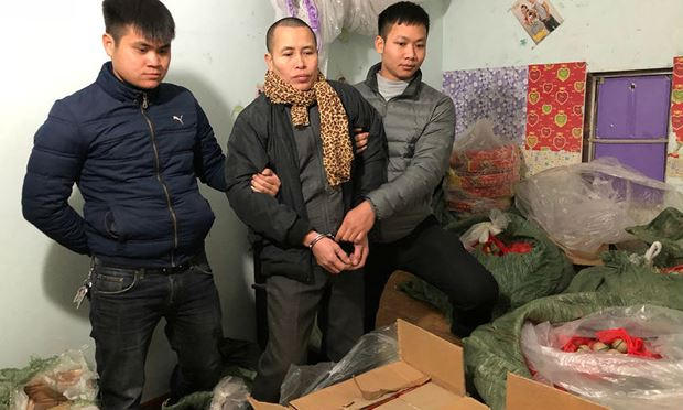 Công an TX Đông Triều khám, thu giữ 248,5kg pháo nổ tại nơi ở của đối tượng Nguyễn Văn Phong. (Ảnh: Báo Quảng Ninh)