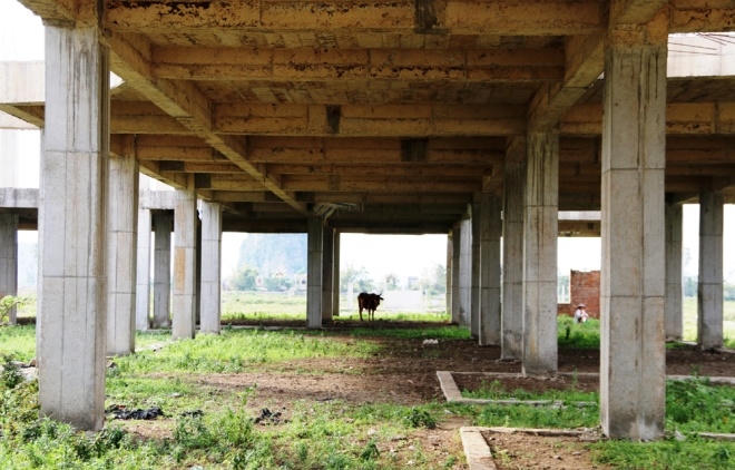 “Giờ trường thành nơi chăn thả trâu bò, hàng trăm tỷ đồng của nhà nước lãng phí mà hàng chục ha đất hai lúa của dân cũng bỏ hoang”, ông Văn nói.