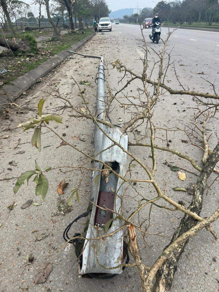 FB_IMG_1677236238490