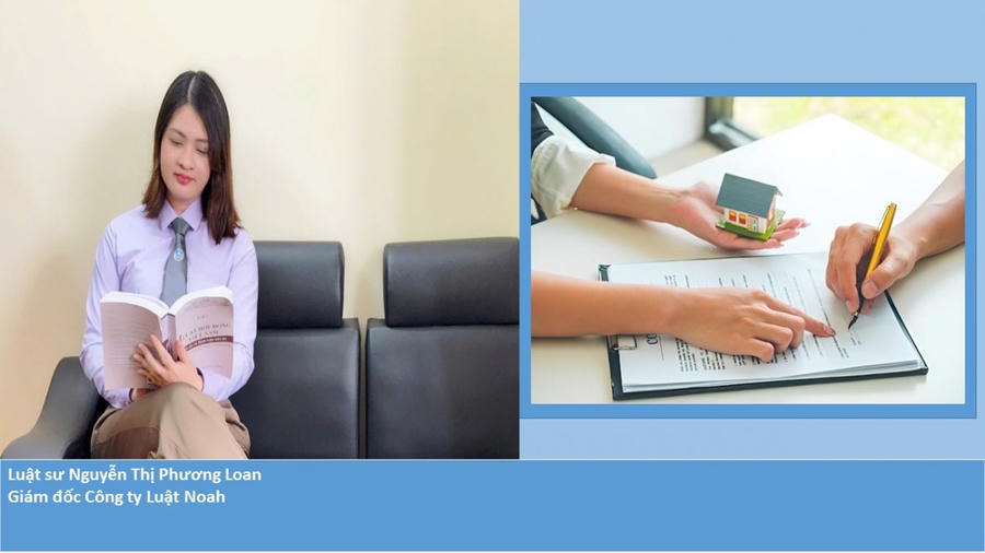 Luật sư Nguyễn Thị Phương Loan - Giám đốc Công ty luật Noah