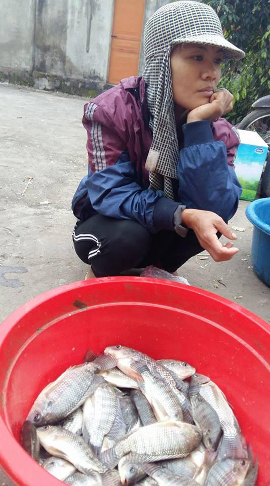 Những mẻ cá nuôi sống cả gia đình chị mỗi ngày.