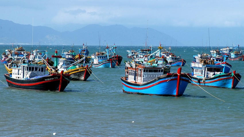 Xử lý các hành vi vi phạm ngắt kết nối thiết bị giám sát hành trình tàu cá.