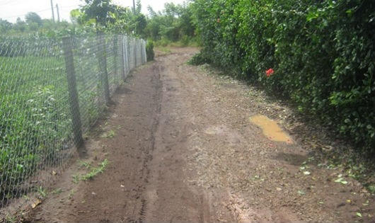 Lối đi riêng vào thửa đất của gia đình ông Lộc.