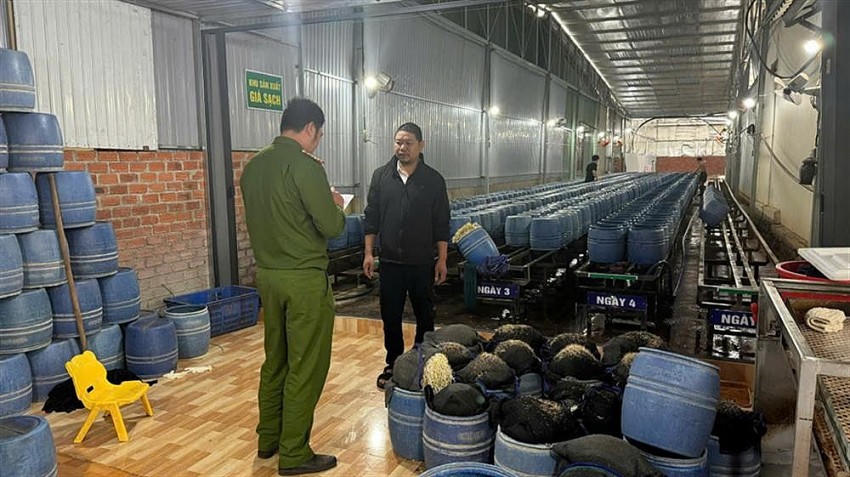 Công an kiểm tra khu vực sản xuất giá đỗ