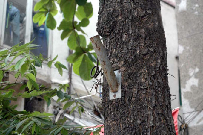 Ảnh: Tiến Dũng/Kiến Thức