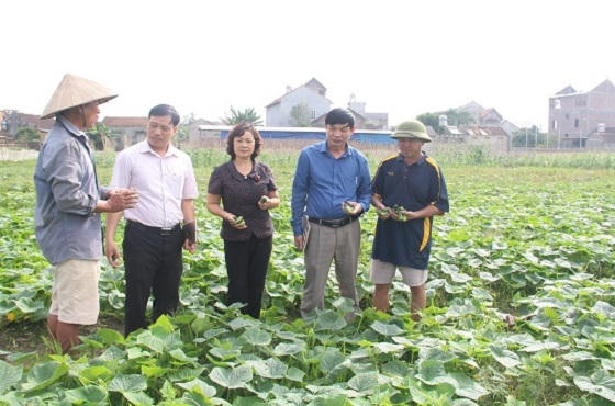 10 thành tựu nổi bật của huyện Hiệp Hòa - Bắc Giang trong năm 2016