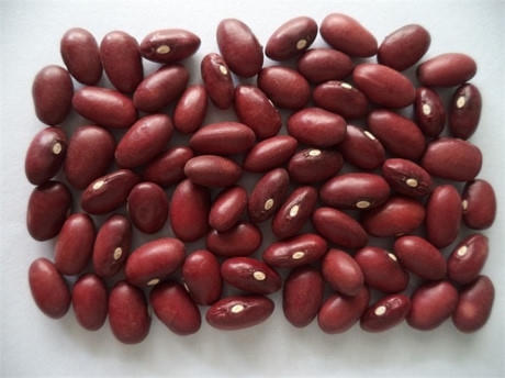 Đậu đỏ: Nhiều loại đậu có chứa lectin nhưng hàm lượng cao nhất là ở đậu đỏ. Chỉ cần ăn từ 4 - 5 hạt đậu đỏ sống là có thể bị đau bụng dữ dội, nôn mửa, tiêu chảy. Để loại bỏ lectin nên ngâm đậu ít nhất 5 tiếng trước khi nấu. Thời gian nấu đậu phải từ 10 phút trở lên, khi nấu để lửa to để loại bỏ độc tố.