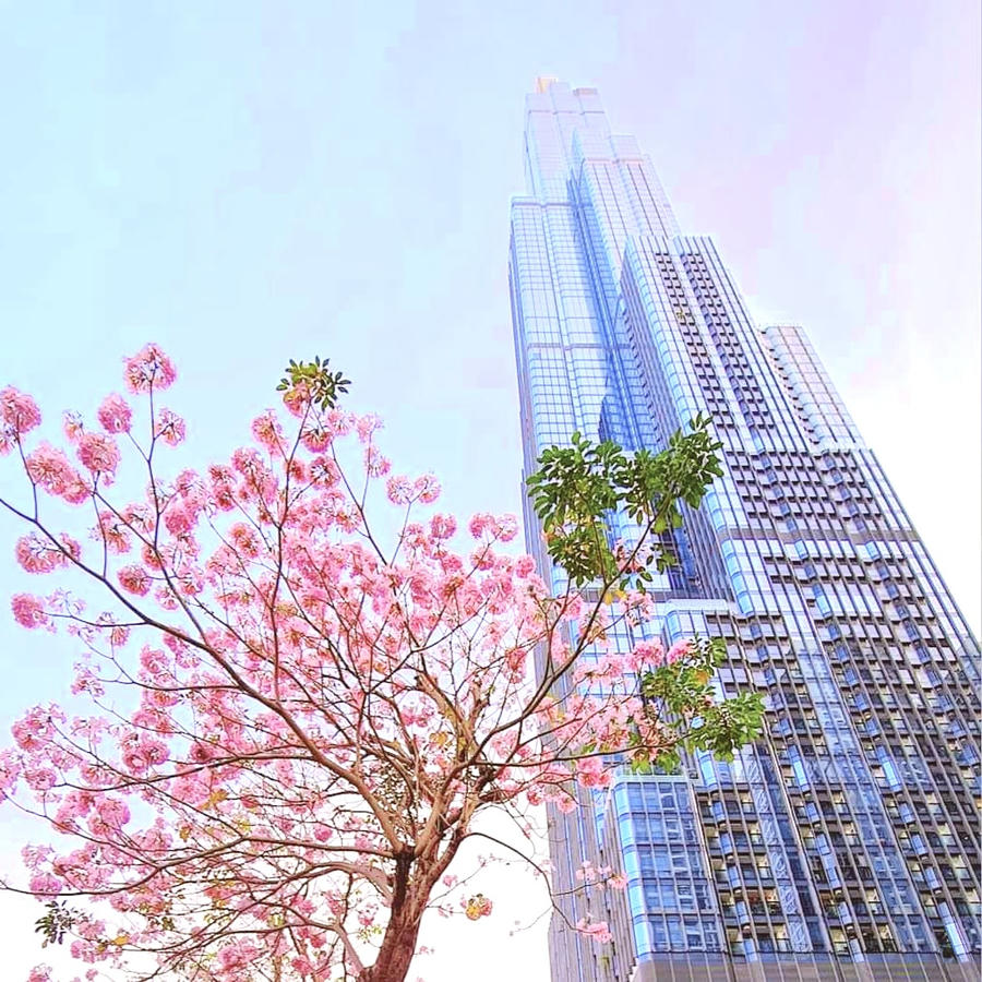 Sắc hoa rở rộng ở những điểm điểm nổi tiếng của Sài Gòn