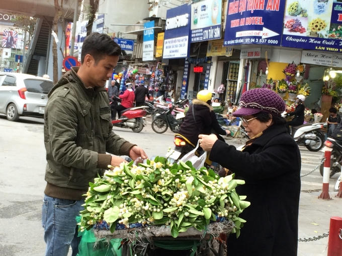 Hoa được các bà các mẹ mua về để đặt trên bàn thờ tổ tiên, để nấu chè ,để trong phòng cho thơm, hoa bưởi còn được mua về để làm đẹp.