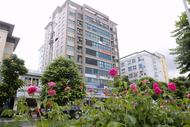 Người dân cho biết, những khóm hoa hồng này mới được trồng thời gian gần đây và mới chỉ ở một bên phần đường.