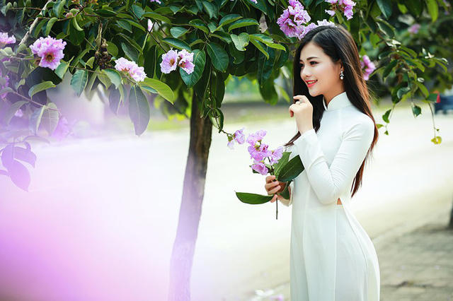Thiếu nữ H&agrave; th&agrave;nh đẹp dịu d&agrave;ng b&ecirc;n hoa bằng lăng