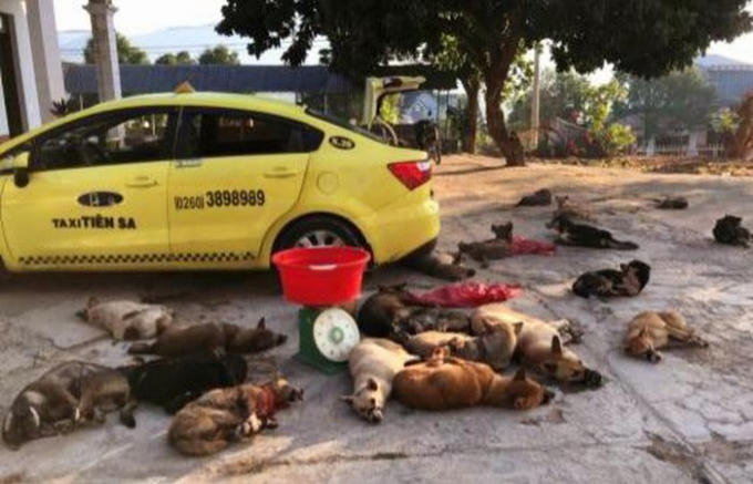 c5a66c1e715d9803c14c