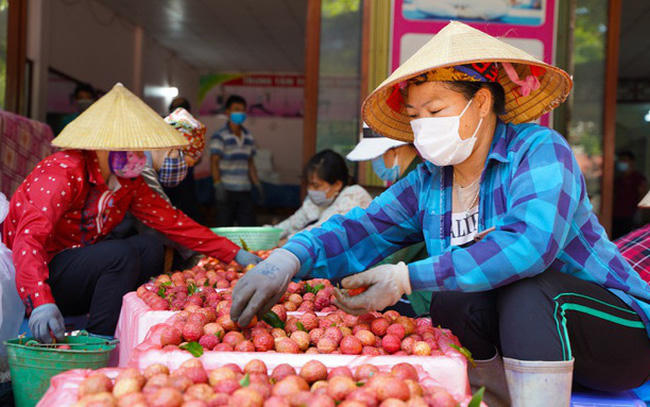 Ảnh minh họa. (Nguồn: VTV)