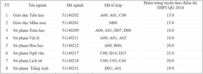 Ngành sư phạm Ngữ văn của Cao đẳng Sư phạm Gia Lai có duy nhất 1 thí sinh đăng ký, khiến trường phải nâng điểm chuẩn lên cao để đánh trượt thí sinh này.