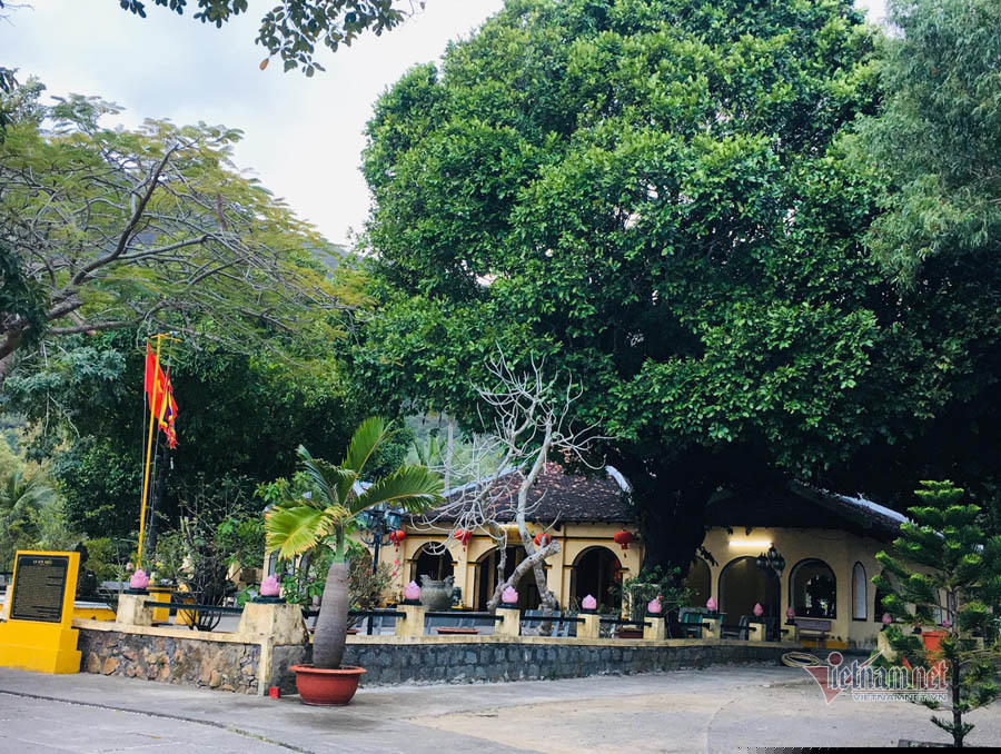 Ba cây thị được trồng trước và bên hông miếu. Một cây đã 'gặp nạn' trong cơn bão Linda 1997, bị gió mạnh xô nghiêng.