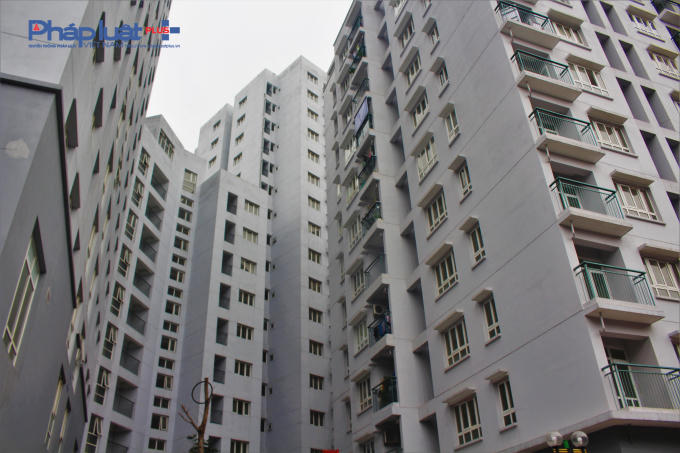 Dự án tái định cư Hoàng Cầu do UBND quận Đống Đa làm chủ đầu tư với đơn vị đại diện là Ban quản lý dự án quận. Dự án xây dựng quỹ nhà tái định cư cho nhà di dân giải phóng mặt bằng ao Hoàng Cầu theo quyết định phê duyệt ngày 31/10/2011 của UBND TP. Hà Nội.
