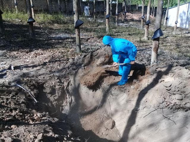 Tiêu hủy gần 1.000 con heo vì dịch lở mồm long móng