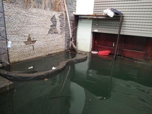 Không ai nghĩ rằng đây là cuộc sống ở giữa Hà Nội