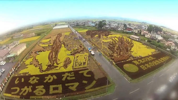 Cánh đồng nghệ thuật