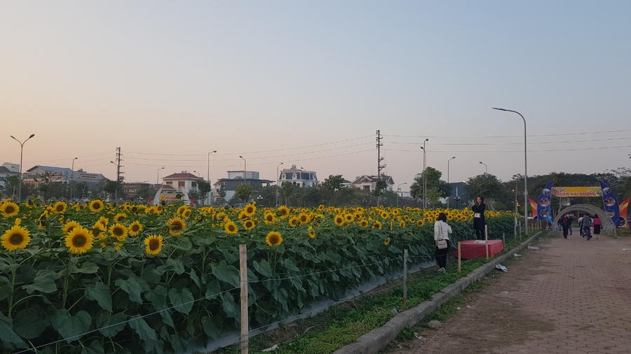 CE863C8C-73B5-4F31-9057-EC9BA45216A3.