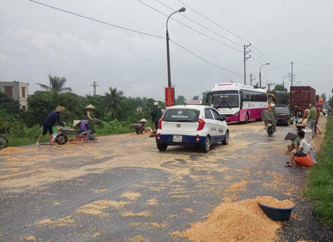 Ngay sau đó, người dân xung quanh cùng lực lượng CSGT đã đến hỗ trợ nhà xe trong việc thu gom ngô rơi vãi.