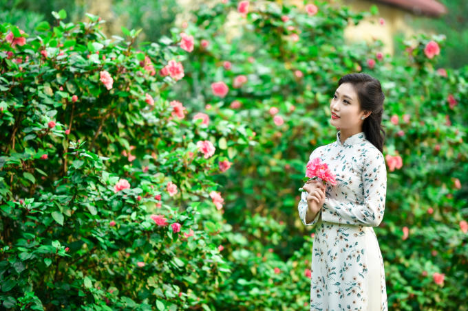 Nơi thành phố phồn hoa này người ta nào để ý đến râm bụt. 