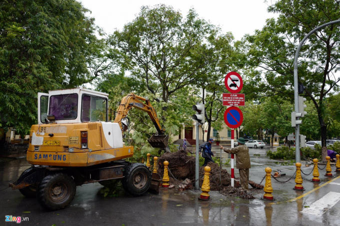 Cây xanh đổ rạp trong cơn bão số 3. Ảnh Zing.vn
