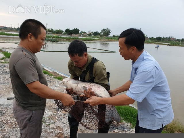 nam dinh: cho ca tram