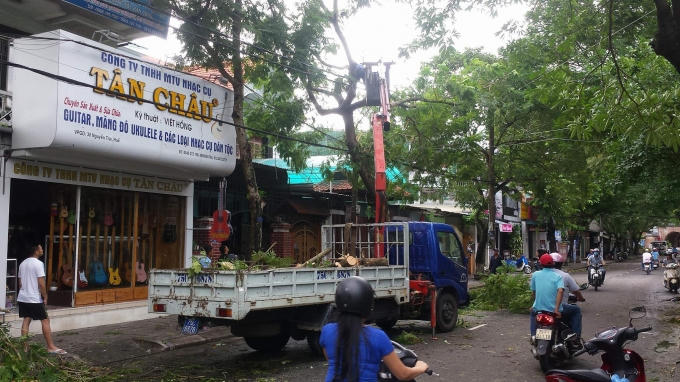 Khẩn trương thu dọn cây xanh để tránh ùn tắt giao thông trên các tuyến đường.