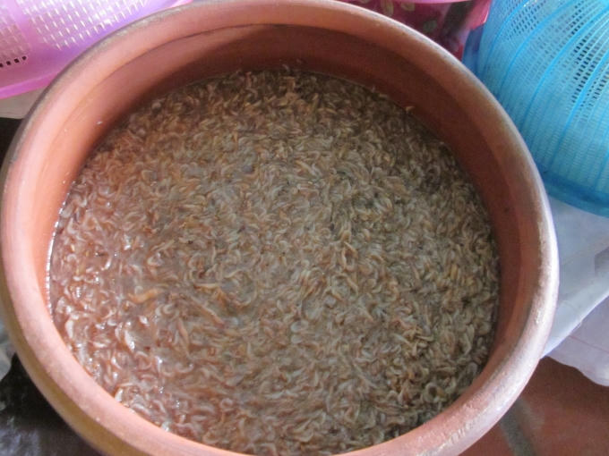 Vại tép thơm ngon trước khi được đóng vào chai, lọ.