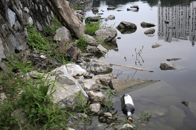 Mầm mống bệnh tật trong