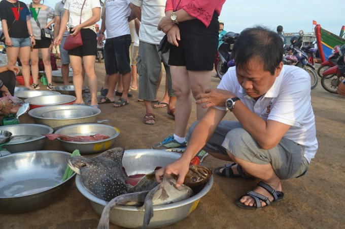 Một du khách tỏ ra thích thú khi thấy một con cá mú san hô “Khủng” tại cảng cá.