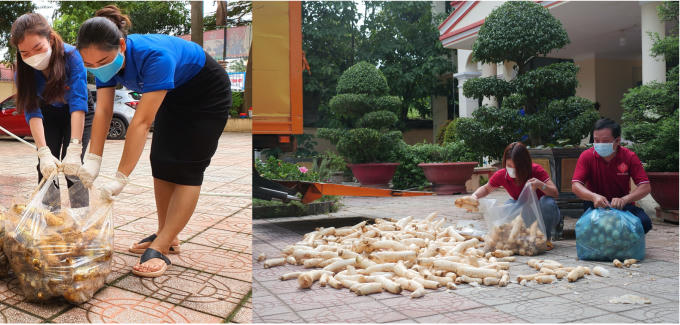 Hàng trăm củ cải mới hái đã được rửa sạch đất và phơi cho ráo để chuyển đến cho người dân TP Hồ Chí Minh