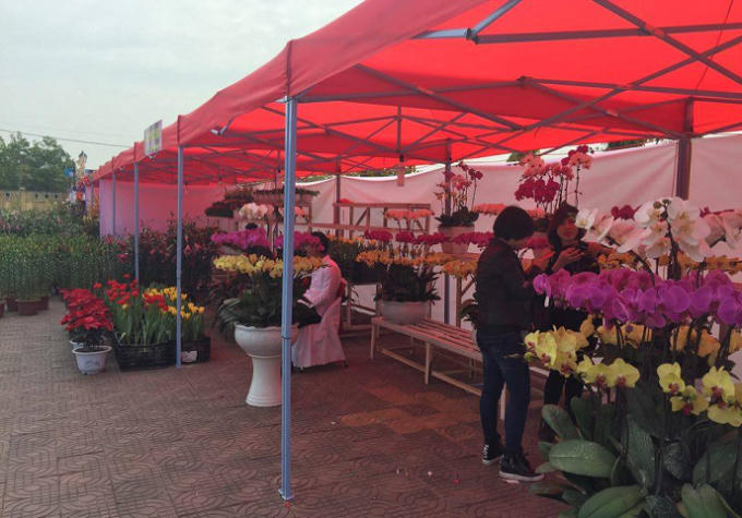 Ngo&agrave;i ra c&ograve;n nhiều lo&agrave;i khoa kh&aacute;c với đẩy đủ m&agrave;u sắc, đa dạng thu h&uacute;t đ&ocirc;ng đảo du kh&aacute;ch đến với Hội hoa.