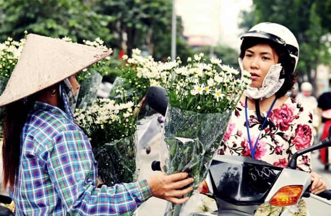 Cúc họa mi “tinh khôi” xuống phố…