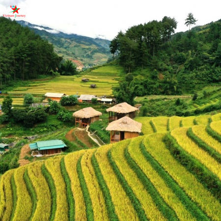 Những bản làng người Mông no ấm dưới chân những triền ruộng