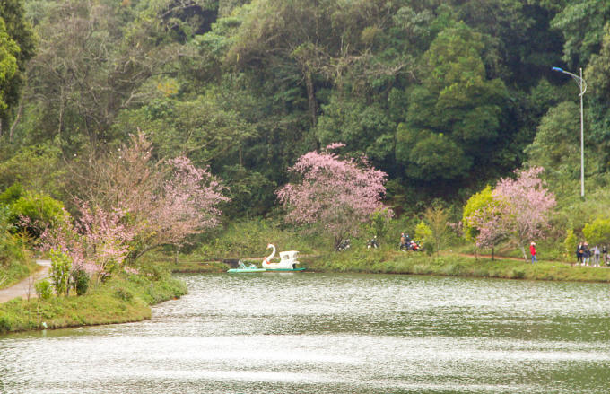 Hồ Đắk Ke hay những đôi tình nhân họ hay đặt là hồ tình yêu.