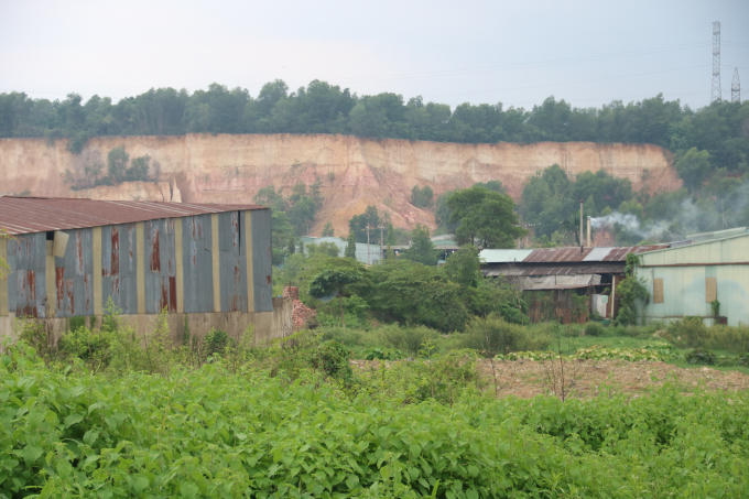 Khu rừng nhanh chóng được khai phá để xây dựng nhà xưởng.