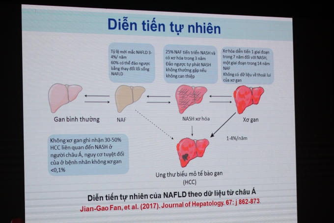 Đồ họa quá trình gan nhiễm mỡ.