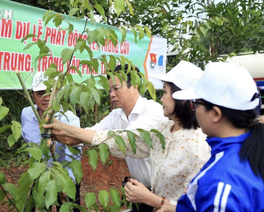 Cán bộ Ban chỉ đạo chương trình phát triển lâm nghiệp bền vững hướng dẫn quy trình trồng và chăm sóc. Ảnh: Minh họa